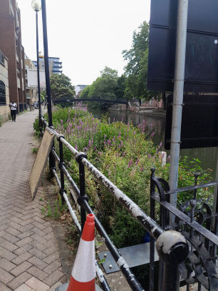 River Kennet in Reading